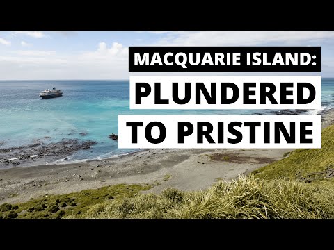 Macquarie Island: Plundered to Pristine - The Remarkable Story of Macca