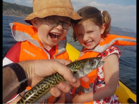 children looking at a mackerel with joy