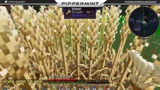 Découvrez le serveur Minecraft PLS