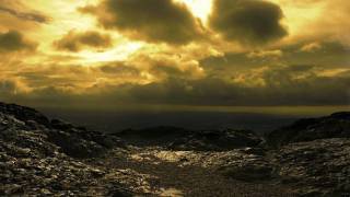 Senses Feat. RTM - Alegra