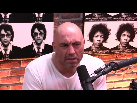 Bret Weinstein Explains the Evergreen "Day of Absence" Controversy - The Joe Rogan Experience || J