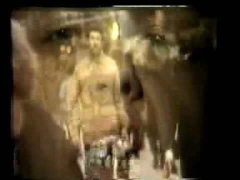 Freddie Wadling & Cortex Guilded Splinters