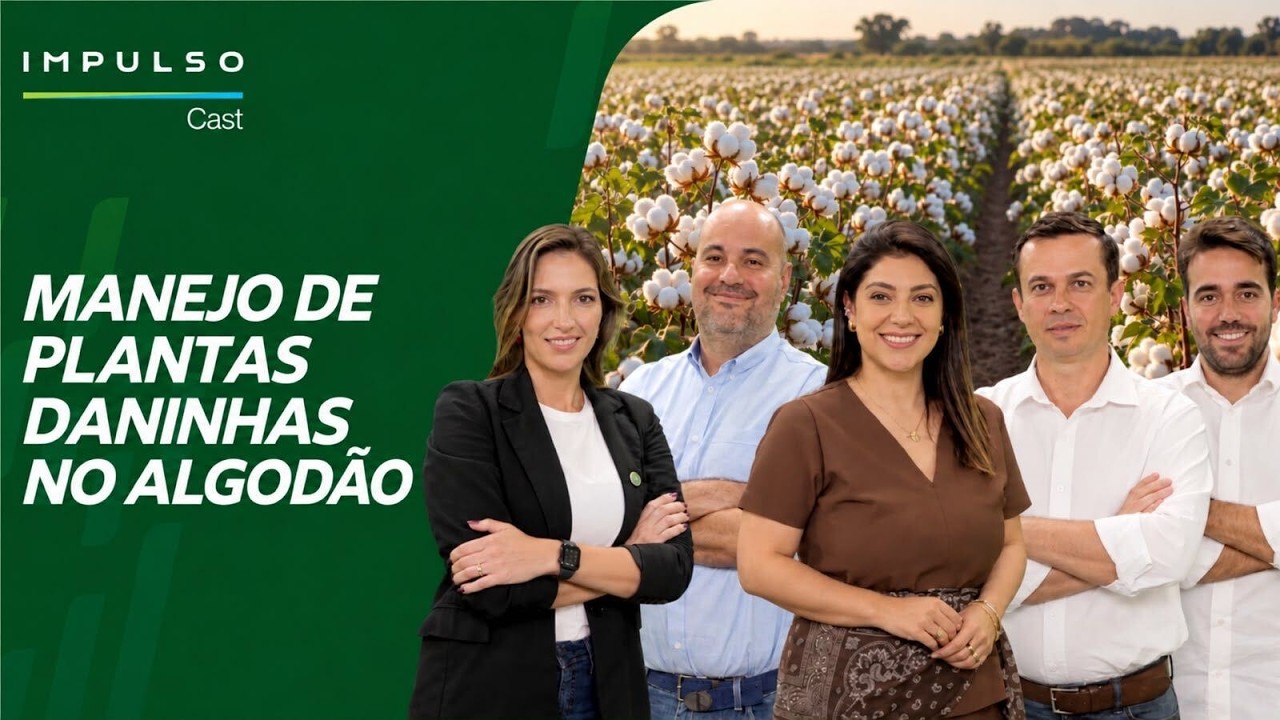 Manejo de plantas daninhas no algodão | Impulso Cast Ep. 51
