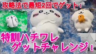 【ちいかわ】この攻略法で誰でもゲット！ハチワレ特訓スタイルぬいぐるみゲットチャレンジ！【くわんちゅ】