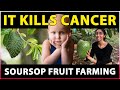 Soursop Fruit Farming | Natural medicines for Cancer