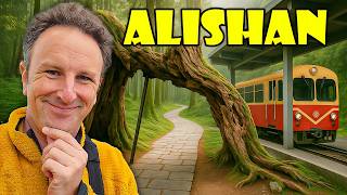 36 HOURS in ALISHAN, Taiwan: The ULTIMATE Mountain Trip Guide ⛰️🇹🇼