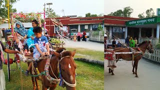 পাবনা মানসিক হাসপিতাল হেমায়েতপুর