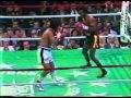 Sugar Ray Leonard Vs Roberto Duran II