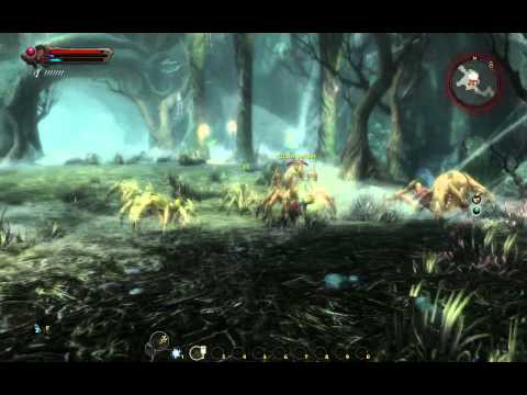 Kingdoms of Amalur: Reckoning - Part 43: Cathrus Try 2 - The Widow Dies!