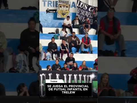 El Gimnasio Municipal N° 1 de Trelew es sede del Torneo Provincial de Futsal Infantil, con 23…