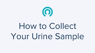 How to Collect Your Urine Sample using Step-By-Step Instructions - LetsGetChecked Home Health Tests
