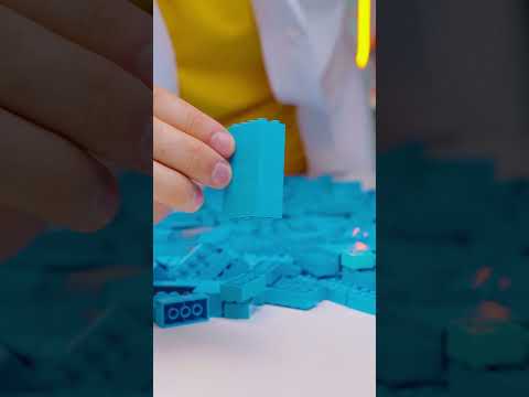 ЭФФЕКТ ДВОЙНОГО ЛЕГО ДОМИНО @zackdfilms #lego #лего