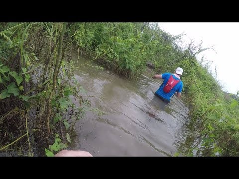 Three Kings Lanna Bush Run 2017