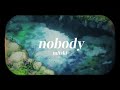 nobody - mitski (lyrics)