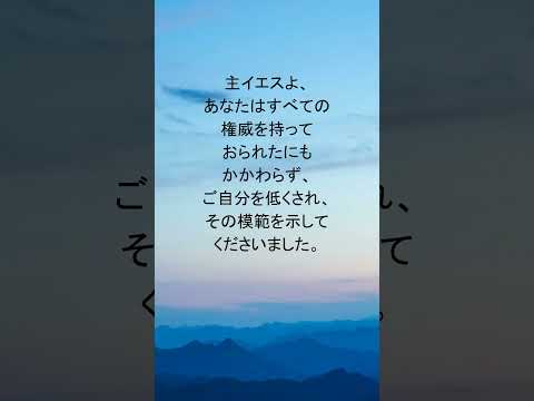 動画を再生