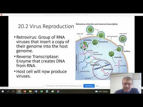 AP - Chapter 20 - Viruses and Bacteria