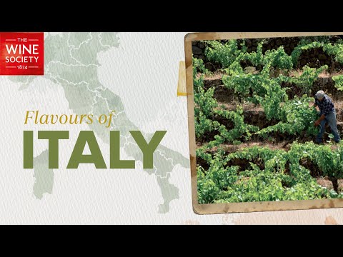 Italy - with a focus on Brunelli in Tuscany