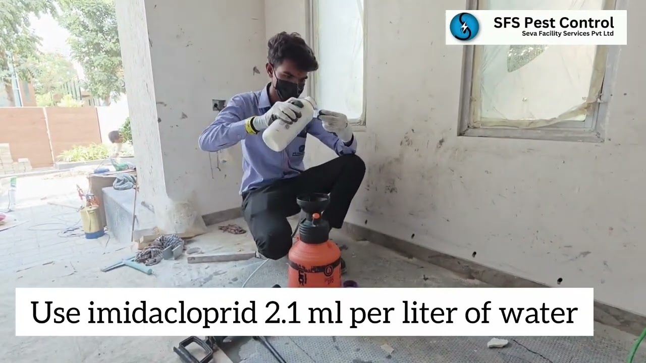 Anti-termite treatment