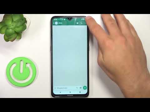 WhatsApp: Nutzer melden – So schützt du dich!