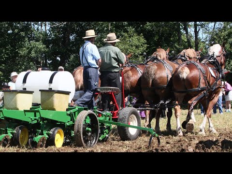 Horse Progress Days 2014 - Draft Animal Power Event