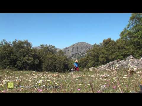 Der Groe Wanderweg Mlagas. Etappe 11: Alfarnate  Villanueva del Rosario (Deutsch)