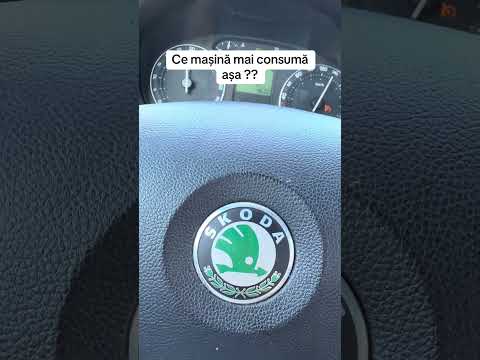 Ce mașină mai consumă așa ? #autodanidezmemrbari