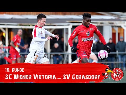 2:2 Remis im ersten Heimspiel der Rückrunde// SC Wiener Viktoria - SV Gerasdorf
