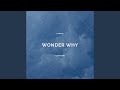 Wonder Why (feat. Adam Bomb)