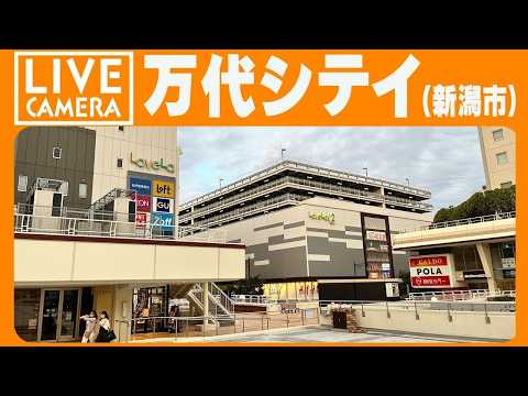万代シテイのライブカメラ映像