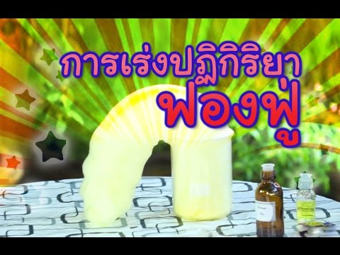 มันฝรั่งและน้ำผึ้งกับกลาก แอปริคอตสามารถกลาก