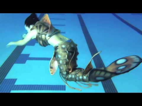 Lobster Mermaid Tail