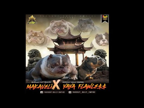 Available Nano bullz for the Low 🚫🧢