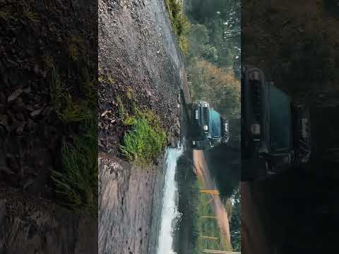 GRÃO PARA- serra catarinense