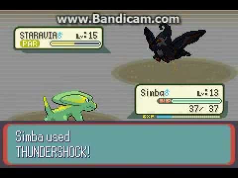 Pokemon Ruby Destiny (Reign of Legends) Gym Battle 1-Anthony