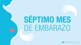 Séptimo mes de embarazo | 7 meses de embarazo | El embarazo mes a mes