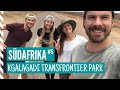 KGALAGADI TRANSFRONTIER NATIONAL PARK IN SÜDAFRIKA DIE LETZTEN TAGE IN DER KALAHARI WÜSTE