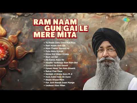 Ram Naam Gun Gai Le Mere Mita | Tu Prabh Data Dann Mat Pura | Bhai Harjinder Singh Srinagar Wale