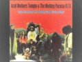 Acid Mothers Temple - The Tales of the Solar Sail