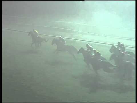 Galoppo 23/12/2015 - 6° corsa