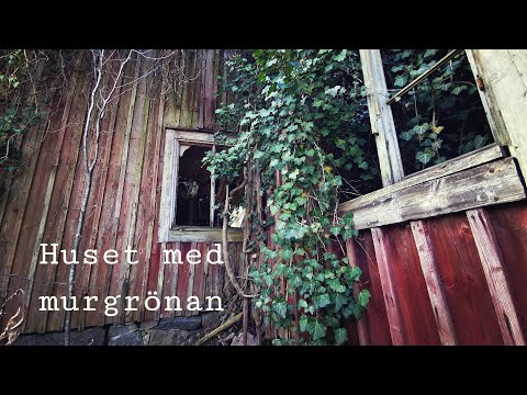ÖDEHUSET med MURGRÖNAN - 200421 - Norr om Karlskrona - BLEKINGE - Huawei p30 PRO