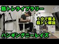 【1分で解る筋トレ解説】ハンギングニーレイズ【筋トレライブラリー】