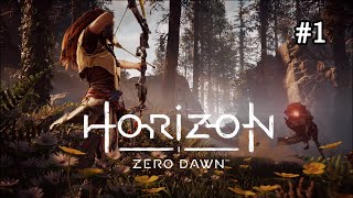 【HORIZON ZERO DAWN】#1 大人気作をプレイするどーん！