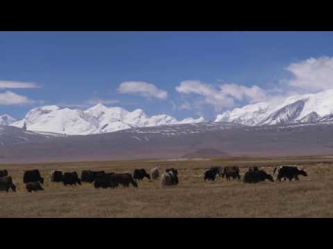 Geology: Stored Light