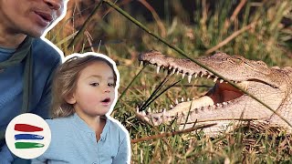 A CROCODILE IN OUR BACKYARD!!