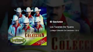 El Gaviotón - Los Tucanes De Tijuana [Audio Oficial]
