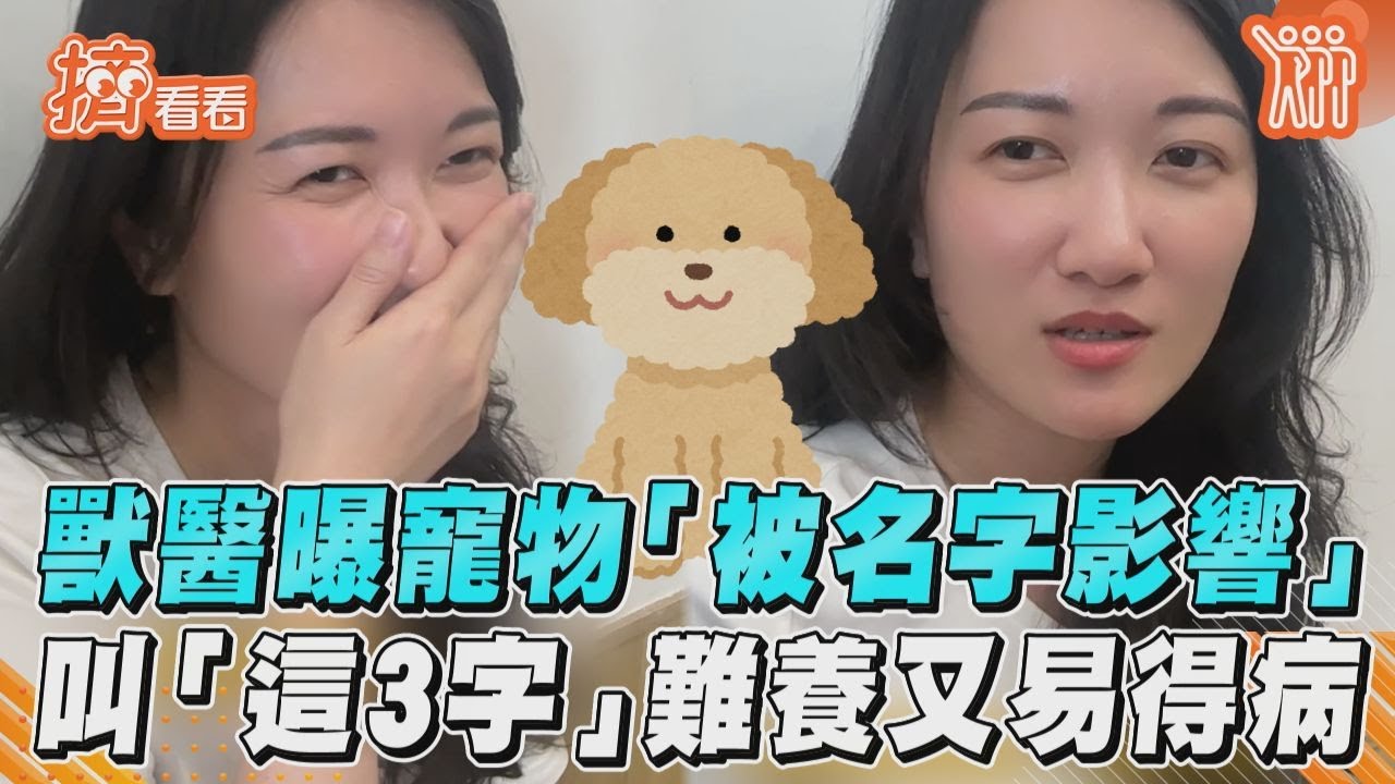 影音／獸醫曝寵物「被名字影響」　叫「這3字」難養又易得病