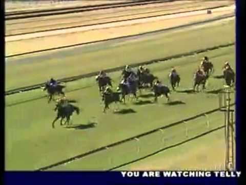 2012-06-10 Turffontein - race 1