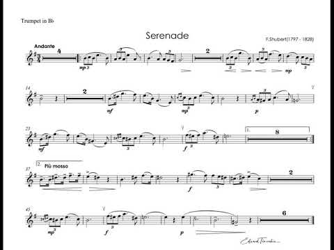 F.Schubert - Serenade - T.Dokshizer trumpet Bb