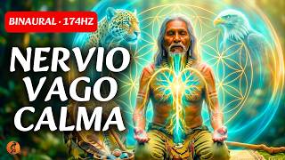 NERVIO VAGO 🧠 Tambor Chamánico Binaural · Calma Profunda · Alpha 10Hz · 174Hz