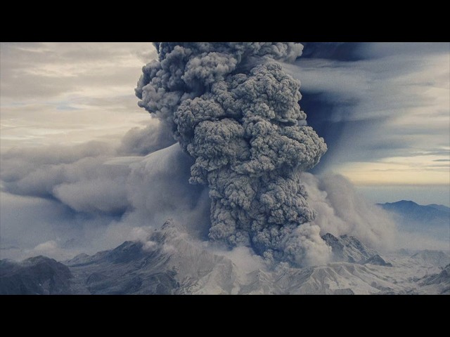 Vídeo relacionado con My Big Nose and Other Natural Disasters